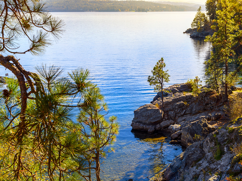 Peaceful lake and pine trees